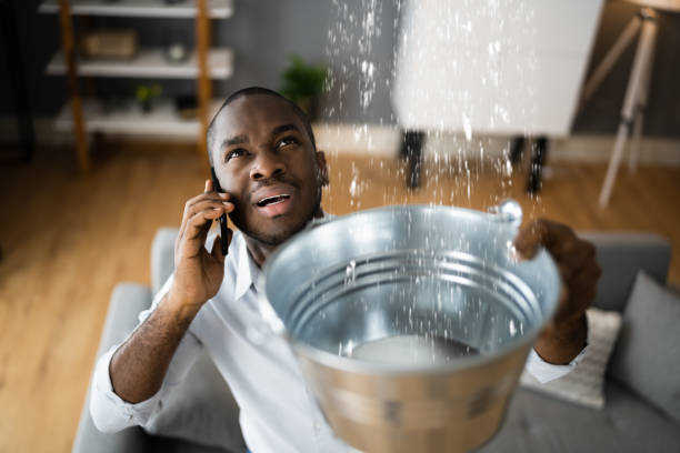 Best Flood restoration services  in New Braunfels, TX