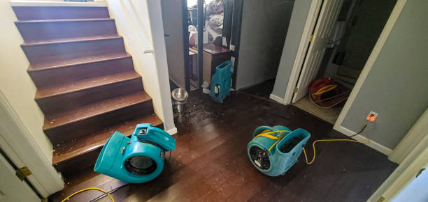 Best Sewage cleanup and water damage restoration  in New Braunfels, TX