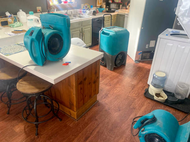 Best Ceiling water damage repair  in New Braunfels, TX