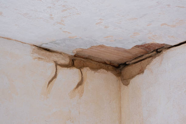 Best Emergency water damage restoration  in New Braunfels, TX