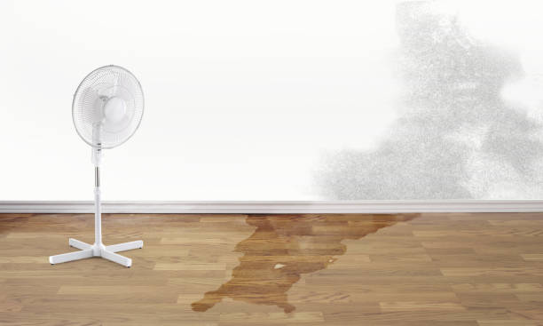 Local water damage restoration in New Braunfels, TX