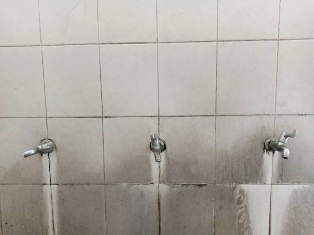 Best 24/7 water damage repair  in New Braunfels, TX