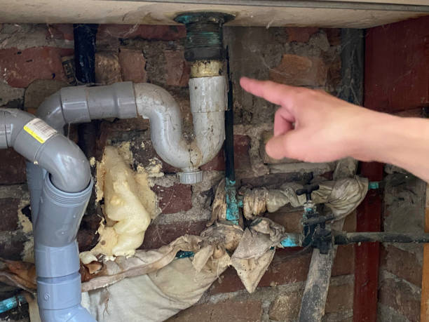 Best Professional water damage repair  in New Braunfels, TX